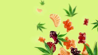 Wie viel kostet CBD Fruchtgummis?