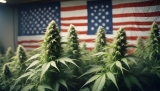 L’administration Biden officialise la reclassification du cannabis comme drogue moins dangereuse