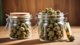 En Allemagne, le cannabis légal est en train de détrôner le cannabis illégal