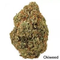 amnesia-cbd-okiweed