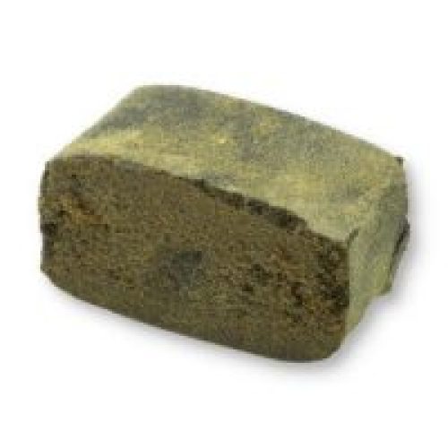 Amnesia hash
