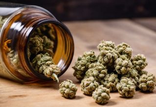 Top 5 Best CBD Flower Companies and Brands to Consider in 2025
