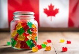 5 Best CBD Gummies Reviewed in Canada in 2025