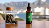 CBD South Africa: How To Buy The Best CBD Oils in ZA & Other Products In 2025?