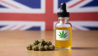 Best CBD in the UK: The Top Rated Online CBD Shops & Brands in May 2025