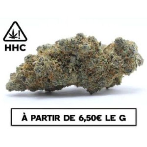Blueberry Muffin HHC