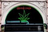 Le cannabis bientôt légal aux Pays-Bas ?