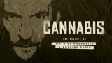 Cannabis, le documentaire qui illustre les politiques internationales concernant cette substance