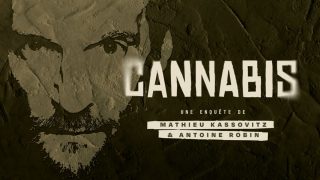 Cannabis, le documentaire qui illustre les politiques internationales concernant cette substance