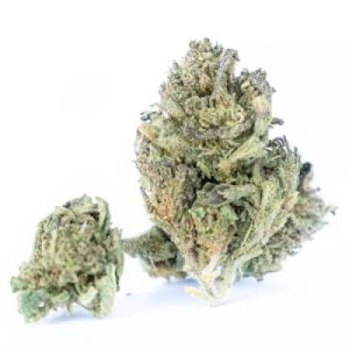 Le choix de la rédaction : Cannatonic CBD de Seven Leaves