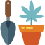 cbd-bio cbd-bio