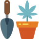 cbd-bio cbd-bio