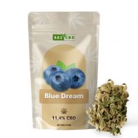 cbd-blue-dream cbd-blue-dream