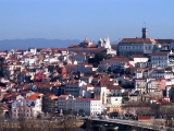 CBD Coimbra: A melhor loja de CBD para comprar CBD em Coimbra