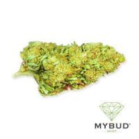 cbd-fleur-harlequin