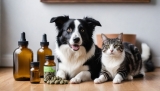 Should You Try CBD For Your Pets? Reviews and Scientific Research