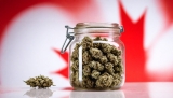 CBD in Canada: How and Where Can You Buy The Best Canadian CBD Products in 2025?