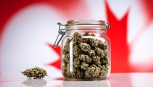 CBD in Canada: How and Where Can You Buy The Best Canadian CBD Products in 2025?