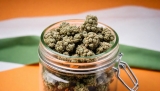 Where Can You Buy Legal CBD Products in Ireland? 10 Best Irish Shops in (2025)