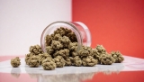 CBD Malta: Where to buy CBD Oils and other products in Malta?