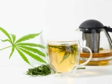 Faut-il choisir une tisane au CBD hydrosoluble ou liposoluble ?