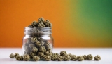 CBD in India: How and Where to Buy Legal CBD Oils and Hemp Products?