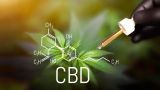 Qu’est-ce que le CBD (ou Cannabidiol) ? Explications sur ses effets et bienfaits