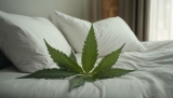 How CBD Pillow Works And Why You Should Try It?