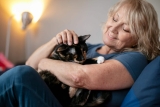 Le saviez-vous ? Le CBD peut soulager l’arthrose de votre chat