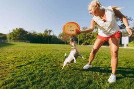Le saviez-vous ? Le CBD peut être efficace pour calmer un chien hyperactif