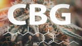 Meilleur CBG : où acheter des produits au Cannabigérol de qualité ?