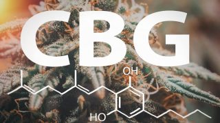 Meilleur CBG : où acheter des produits au Cannabigérol de qualité ?