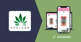 Ceelabb CBD Review: Irish Grown Organic CBD