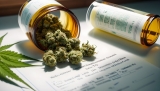 C’est officiel : l’Ukraine légalise le cannabis médical pour la santé mentale