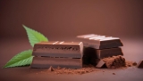 Chocolate con CBD: ¿Qué es, dónde comprarlo y cuáles son sus beneficios?
