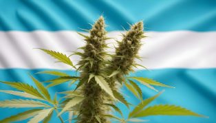 CBD Argentina: ¿Cómo y Dónde comprar CBD legal (cannabidiol)?