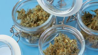 Comment bien conserver vos fleurs de CBD ?