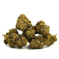 cookie-kush-mamakana cookie-kush-mamakana