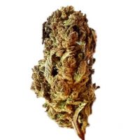 critical-indoor-cbd critical-indoor-cbd