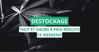 Interdiction du THCP et H4CBD : opération destockage pour les boutiques avant le 3 juin