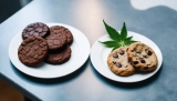 How To Tell The Difference Between CBD and THC Edibles?