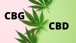 Quelle est la différence entre le CBD et le CBG ?