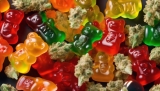 Do CBD Gummy Bears Show Up On A Drug Test?
