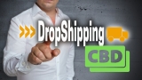 Les meilleurs services de dropshipping CBD 