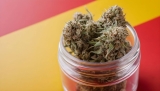 El Mejor CBD de España: Top Marcas y Tiendas Online de 2025