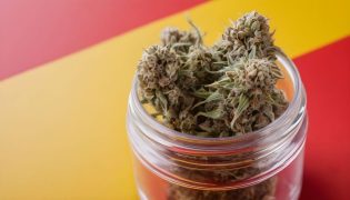 El Mejor CBD de España: Top Marcas y Tiendas Online de 2025