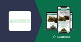 El Mayorista CBD Opiniones (Para profesionales)