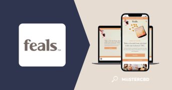 Feals CBD Review