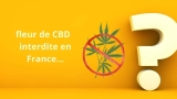 Pourquoi la fleur de CBD a été interdite en France ?