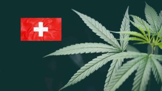 Quelle est la meilleure fleur de CBD Suisse ?